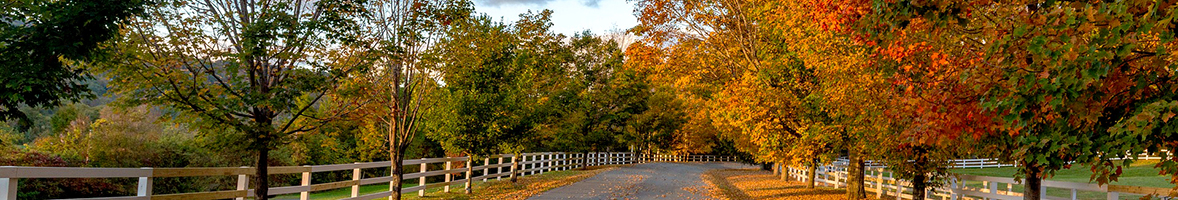 Vermont