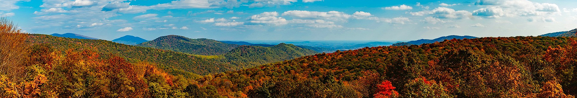 Virginia