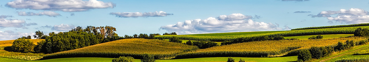 Wisconsin